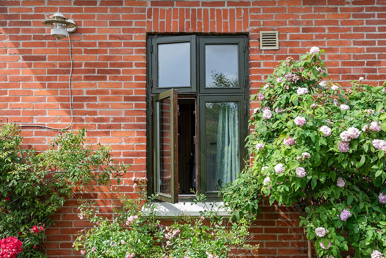 image 02